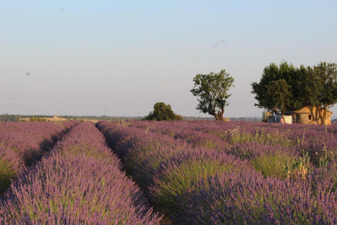 Le Mas Du Colombier Cadenet Exteriér fotografie