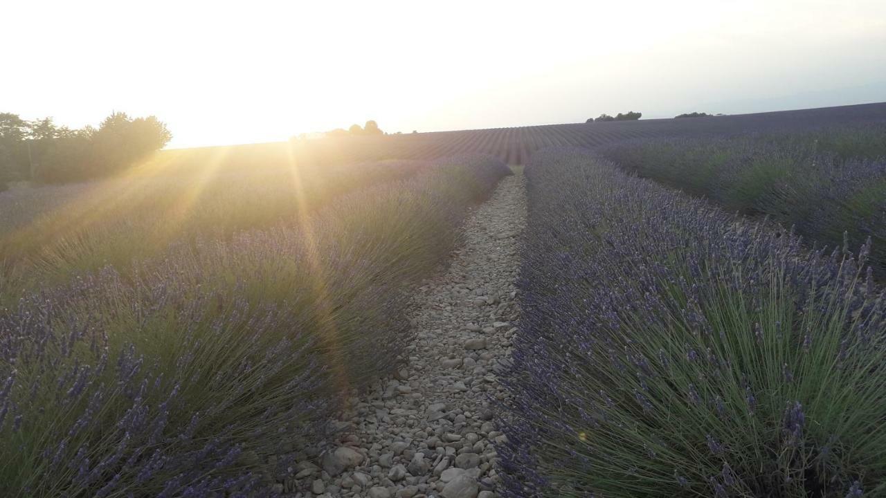 Le Mas Du Colombier Cadenet Exteriér fotografie